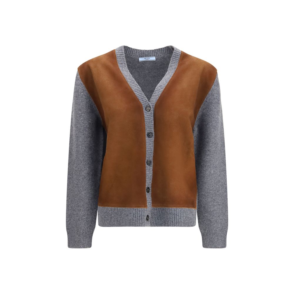 Prada Multicolor Wool Oves Aries Cardigan — shop and try on with AI characters