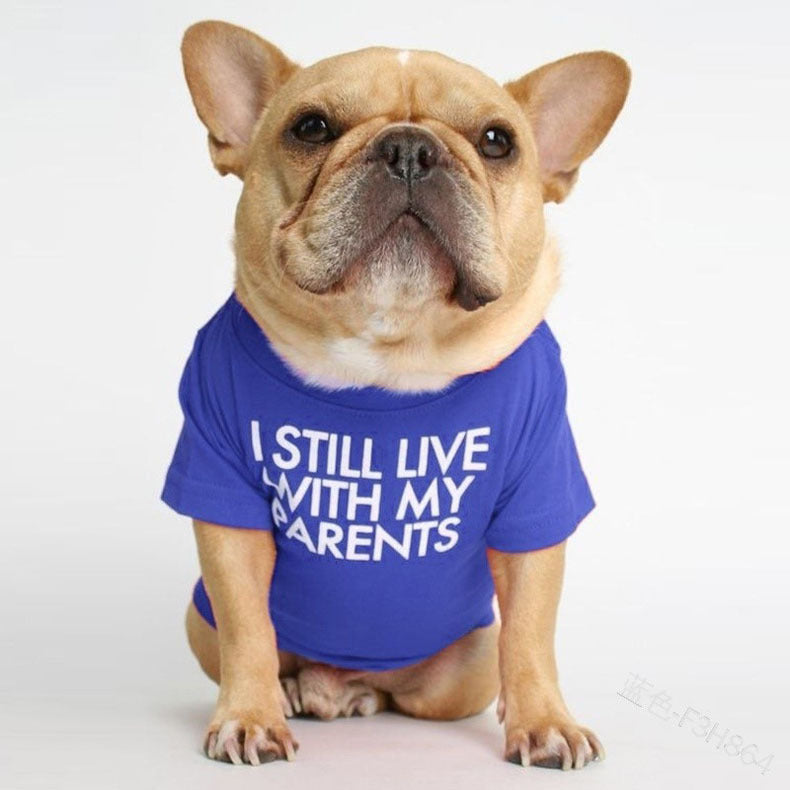 Pet Dog Letter Print T-shirt — shop and try on with AI characters