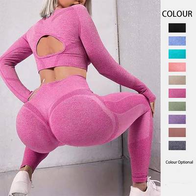 2PCS Seamless Gym Wear Set