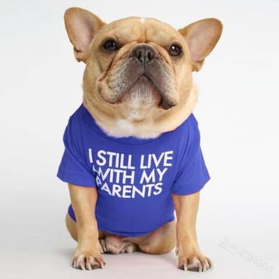 Pet Dog Letter Print T-shirt